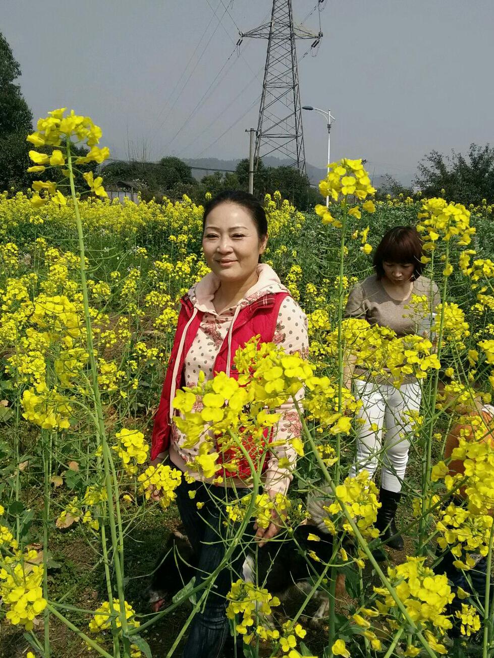 紫衣女人资料照片_四川乐山征婚交友_珍爱网