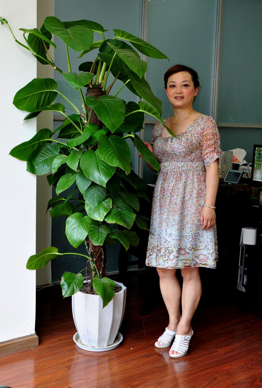 45岁离异女征婚照片(id:61824710)_四川成都征婚交友_珍爱网