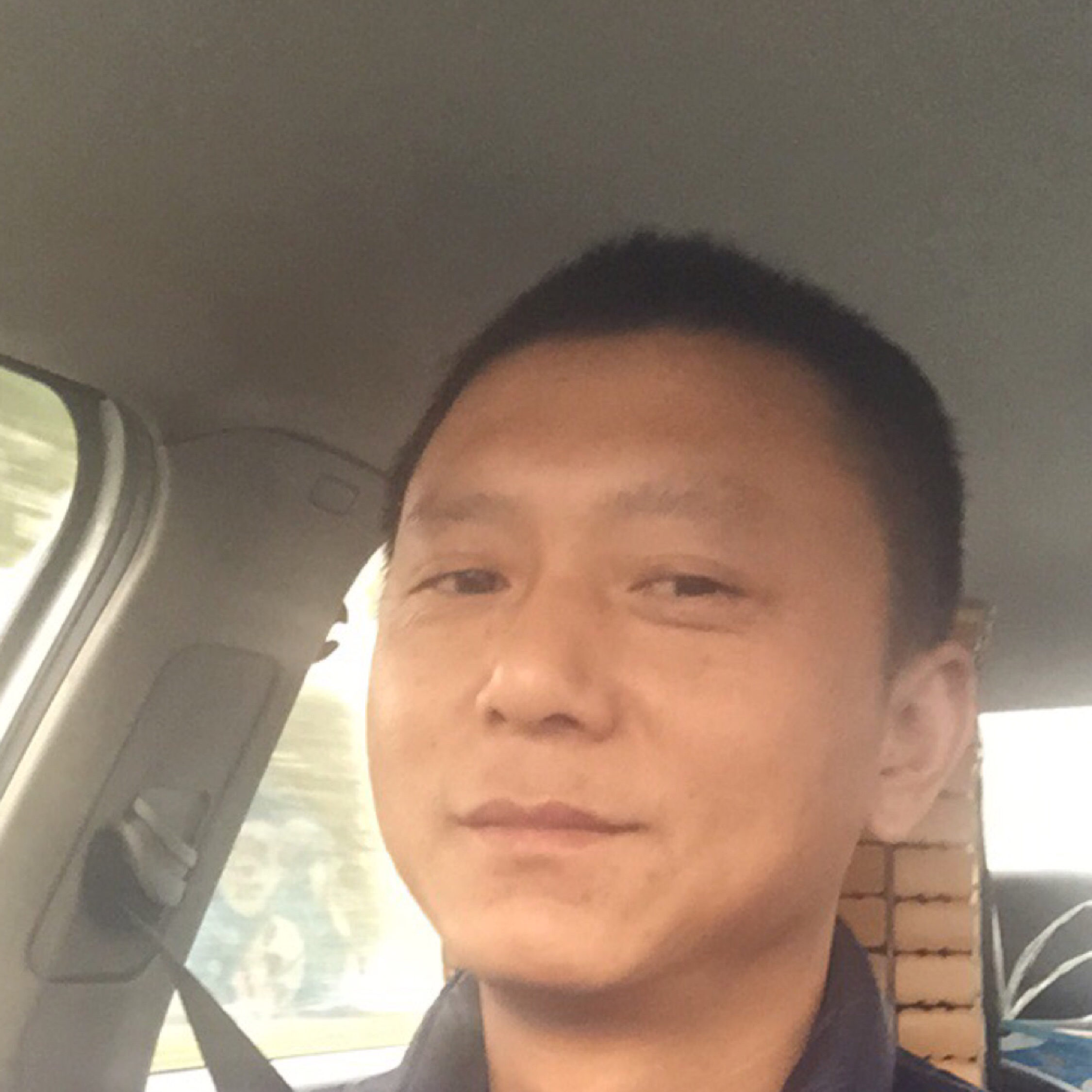 龙龙