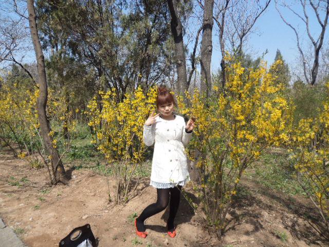 29岁未婚女征婚照片(id:61123844)_山东济南征婚交友_珍爱网