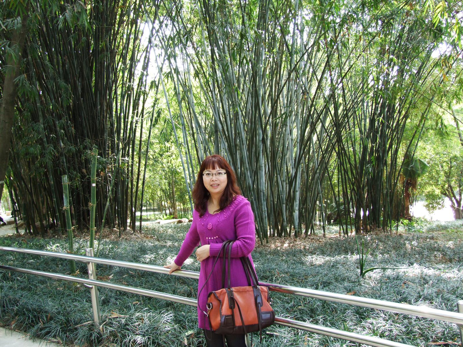 45岁未婚女征婚照片(id:70011032)_广西南宁征婚交友_珍爱网