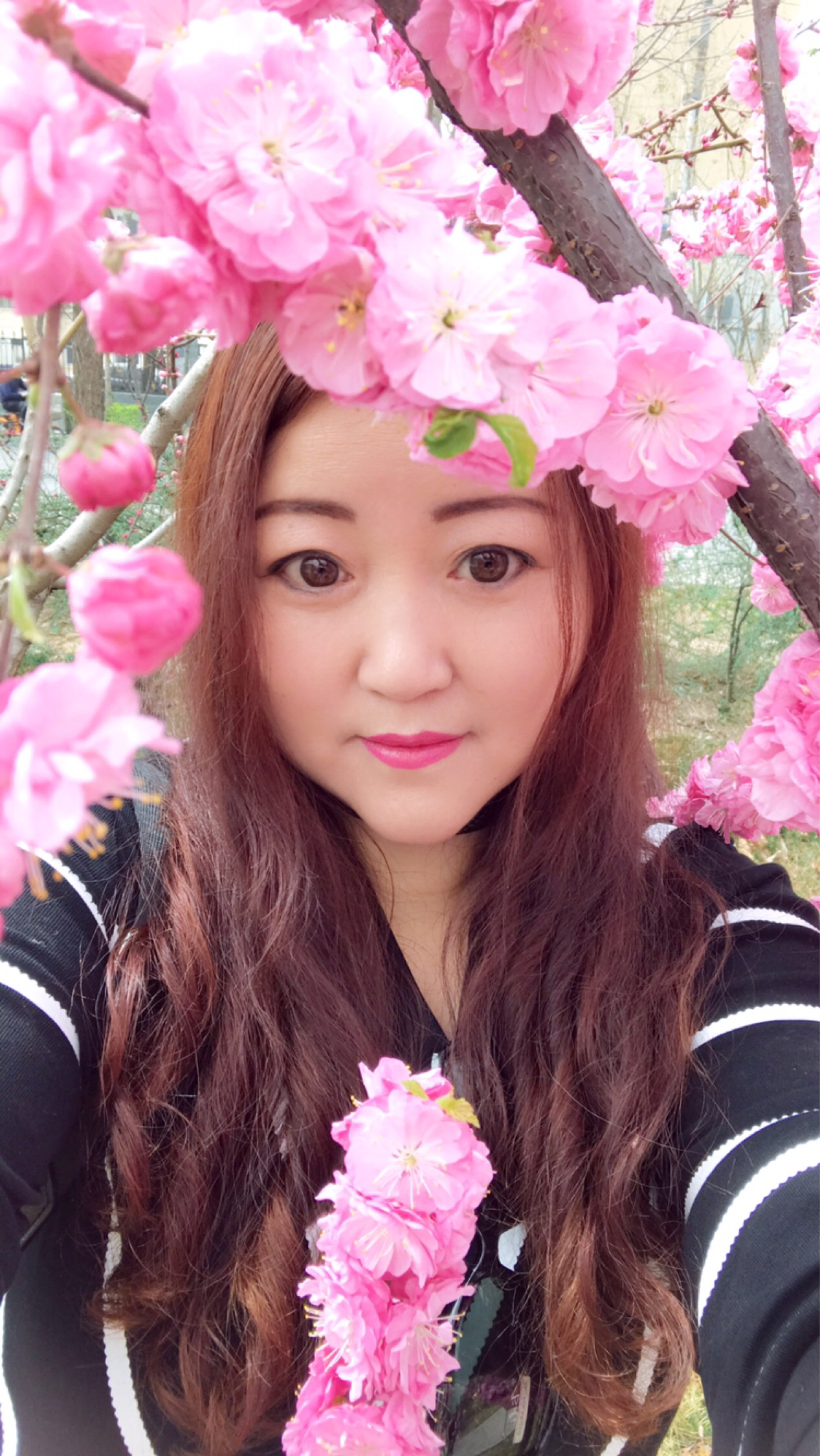 飞飞资料照片_河北石家庄征婚交友_珍爱网