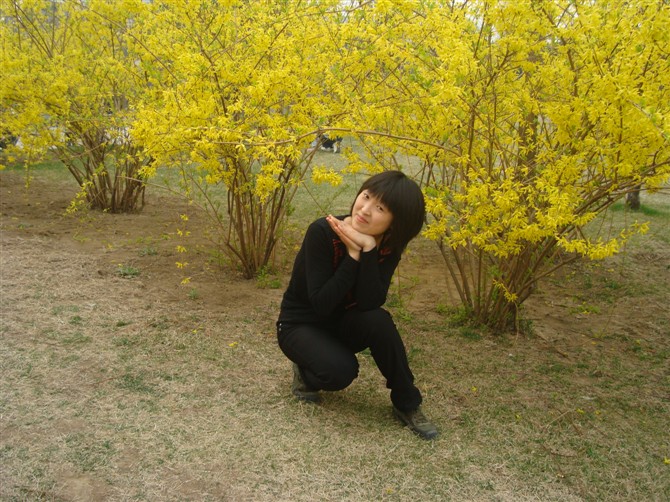 真诚照片资料_北京真诚征婚交友_珍爱网