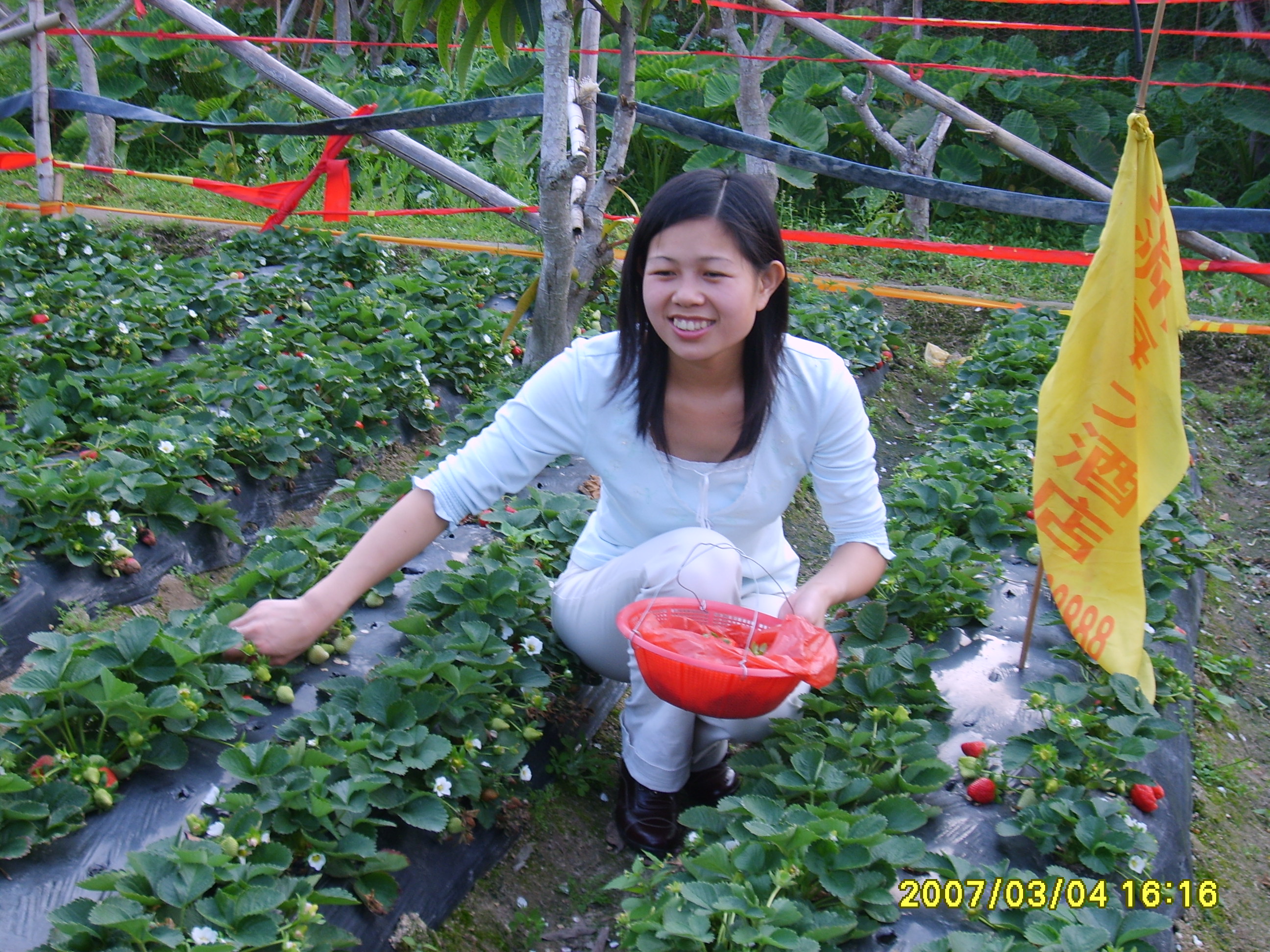 35岁未婚女征婚照片(id:38060906)_福建厦门征婚交友_珍爱网